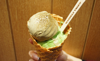 ザマートアイスクリームハンデルスベーゲン.jpg
